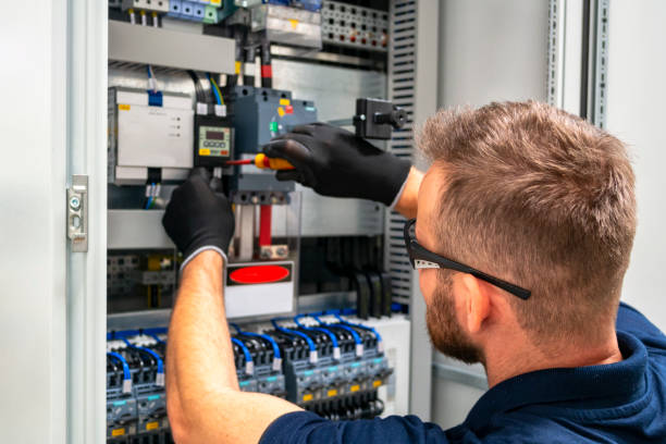 Best Electric Panel Repair  in Ceresco, NE